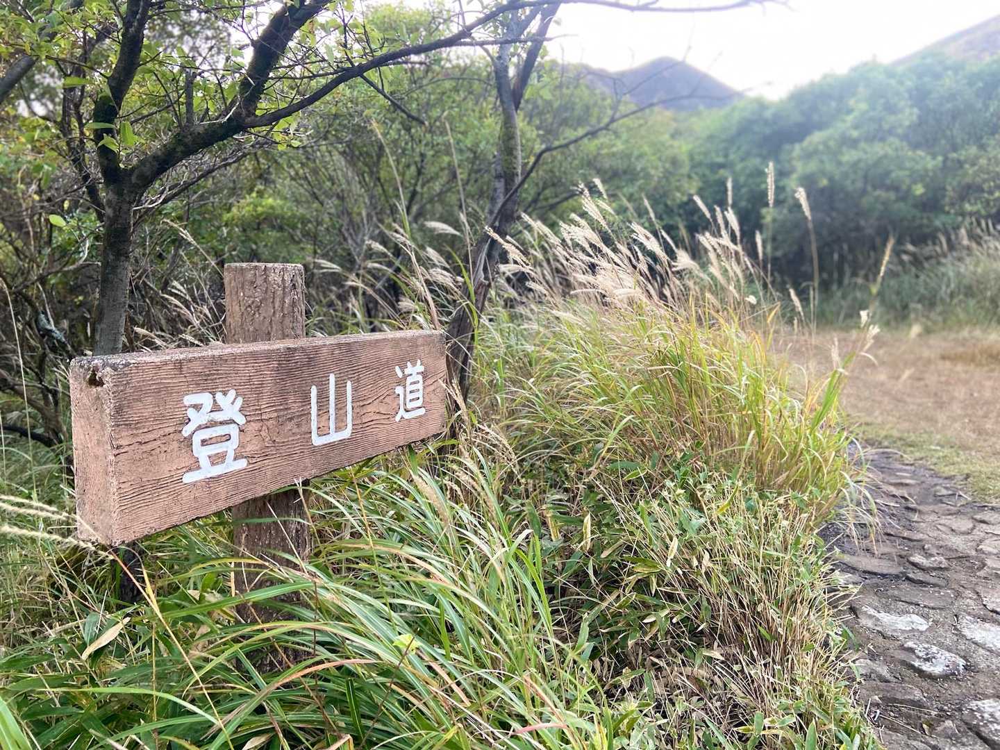 大曲登山口からスタート▶️