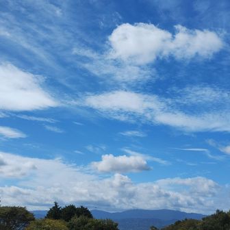 雲だけを見てると、秋は近い😋