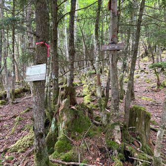 グレピ逢沢の頭の山名板。本当のピークはこの背後なので行ってみる。
ちなみに、右は逢沢の頭、左は蓬沢の頭と書いてある。