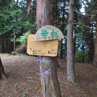谷山山頂
