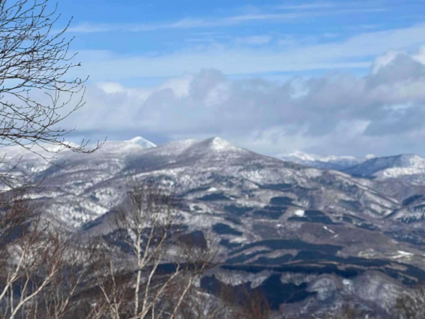 白老方面🏔️🏔️