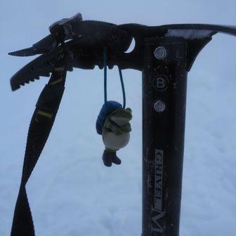 「無事カエル事ができるかな」

頭の中では
自身が新聞の記事になっている
想像が巡る