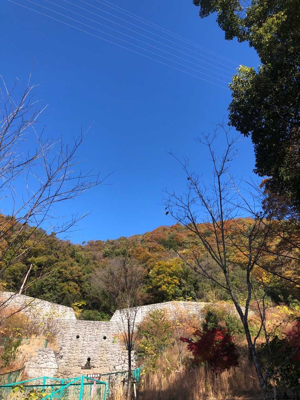 愛宕山-八木山 往復コースの写真
