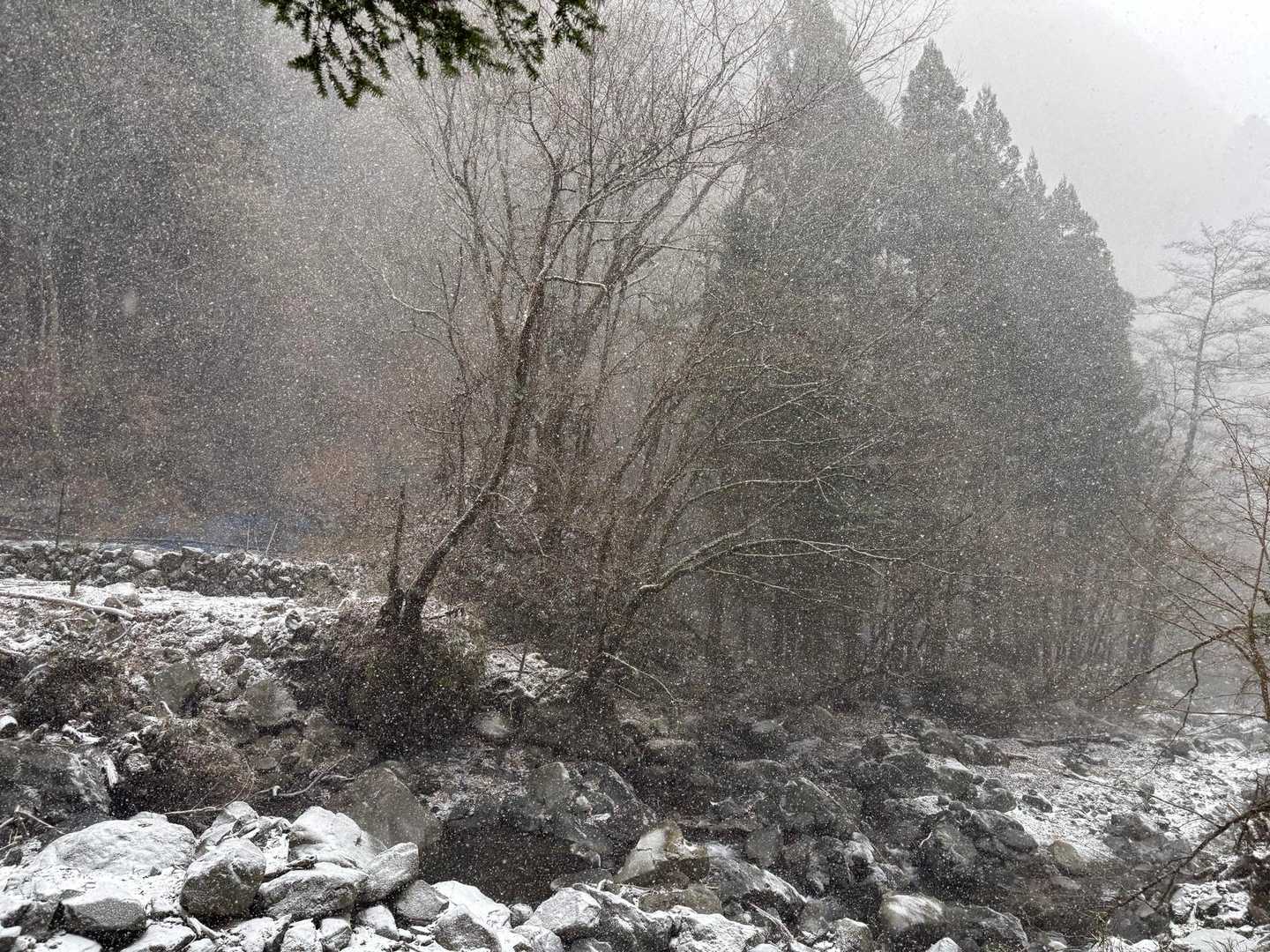 途中から雪が本降りになり始めたので急いで下山。
登山口近くまで降りてきてもこれだけの降り方😅