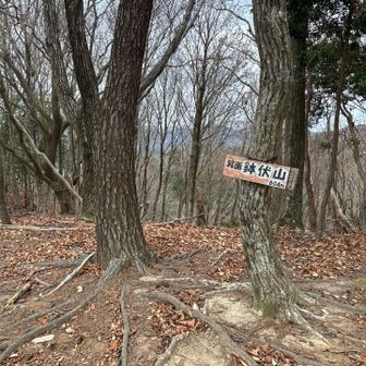 落葉した樹木のお陰で止々呂美の景色が見える
