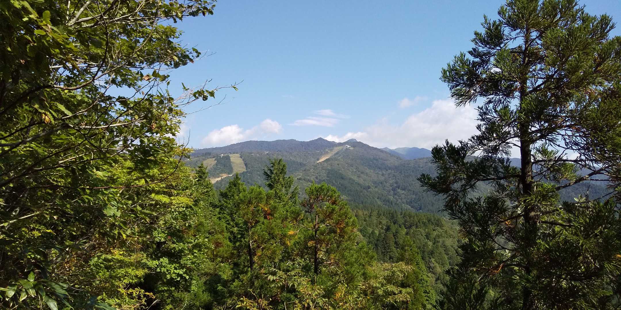 この前登った鷲ヶ岳だ。綺麗に晴れてる。