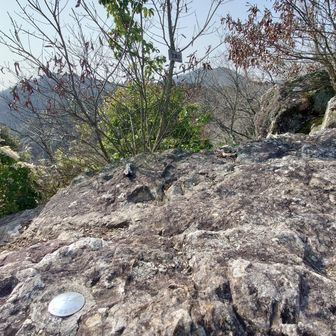 地籍図本三角点がありました。