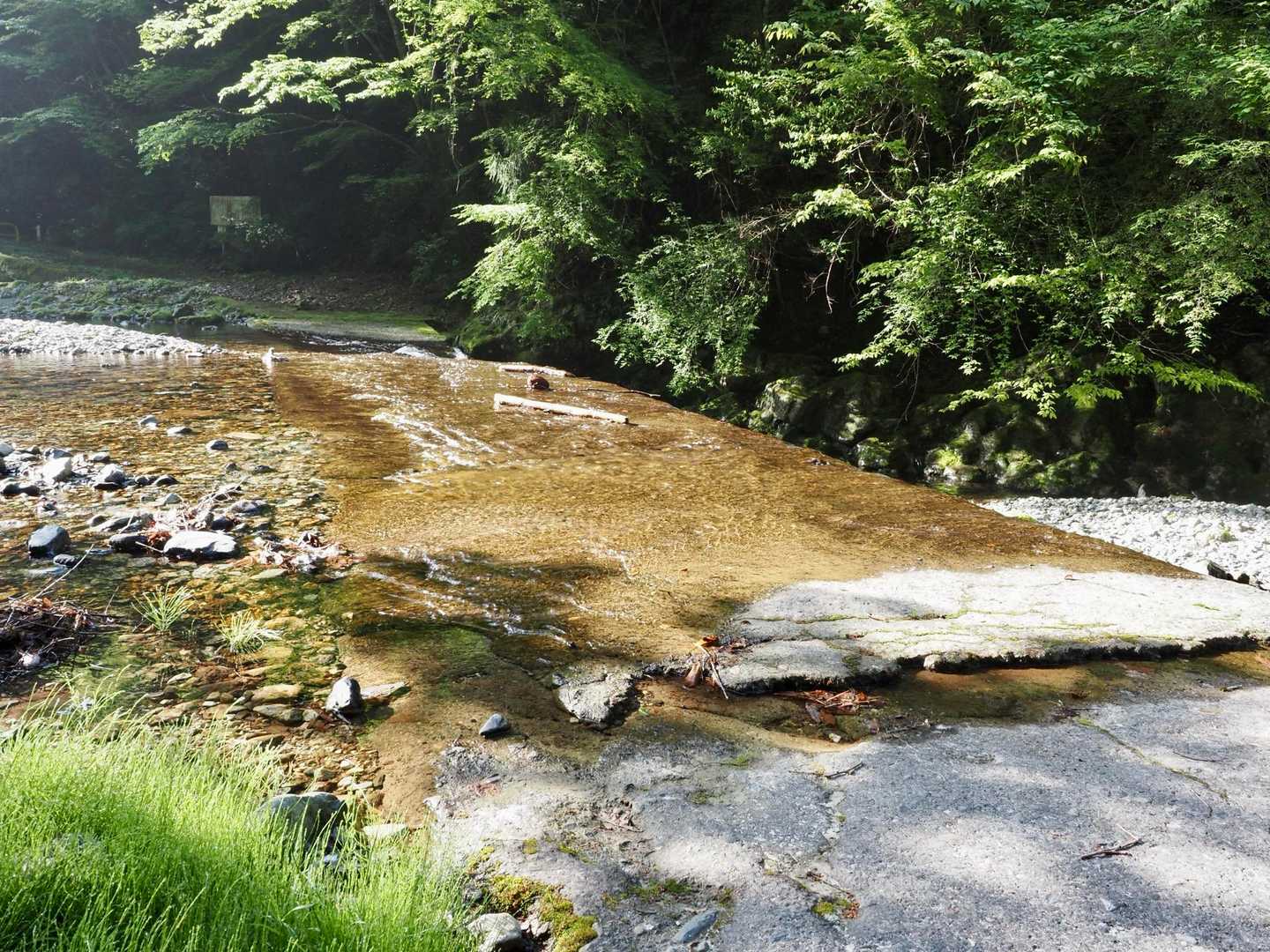 水はくるぶしくらいなので問題なし
苔で滑りやすいです