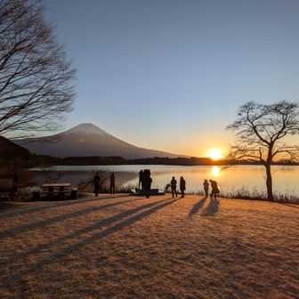 チキンにゃんバン