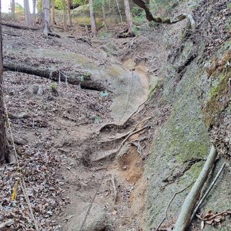写真だと伝わらないけど、激下りでした💦