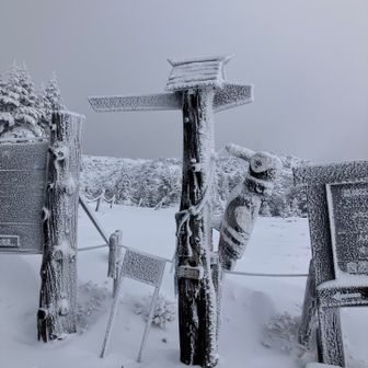 ロープウェイ山頂に到着。キツツキも寒そうです