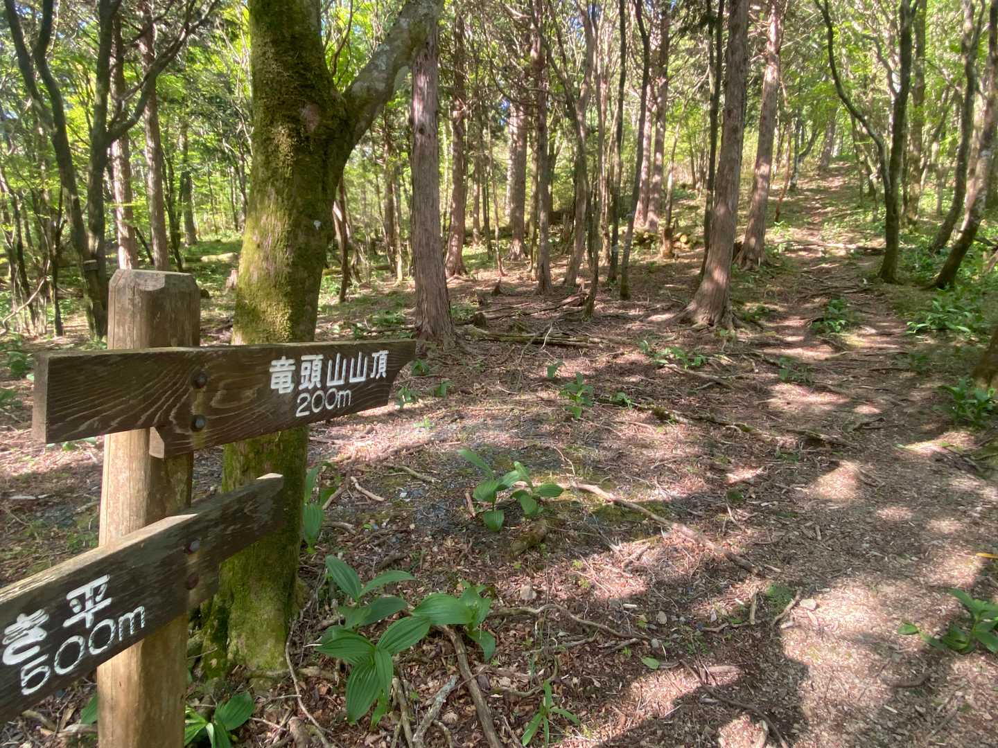 あと200m
まだ膝は大丈夫ですよ👌