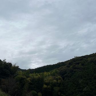 来て良かった😊