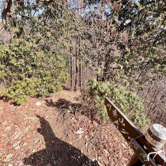 ここを降りるのぉお。