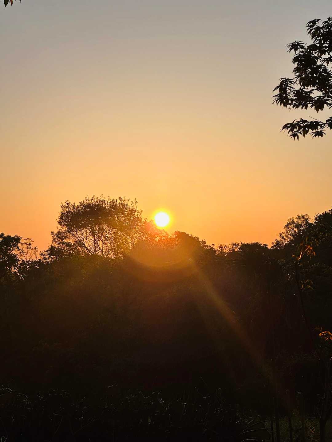 日の出🌅