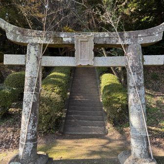 参道を登ります。