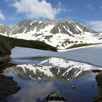 池田越中守泡珈琲