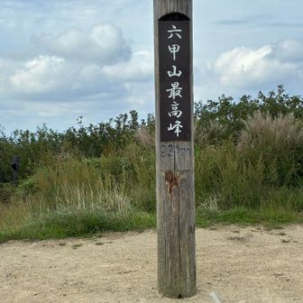 キター