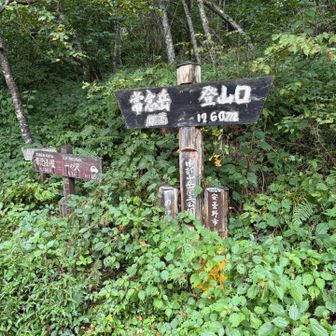 登山口に到着
