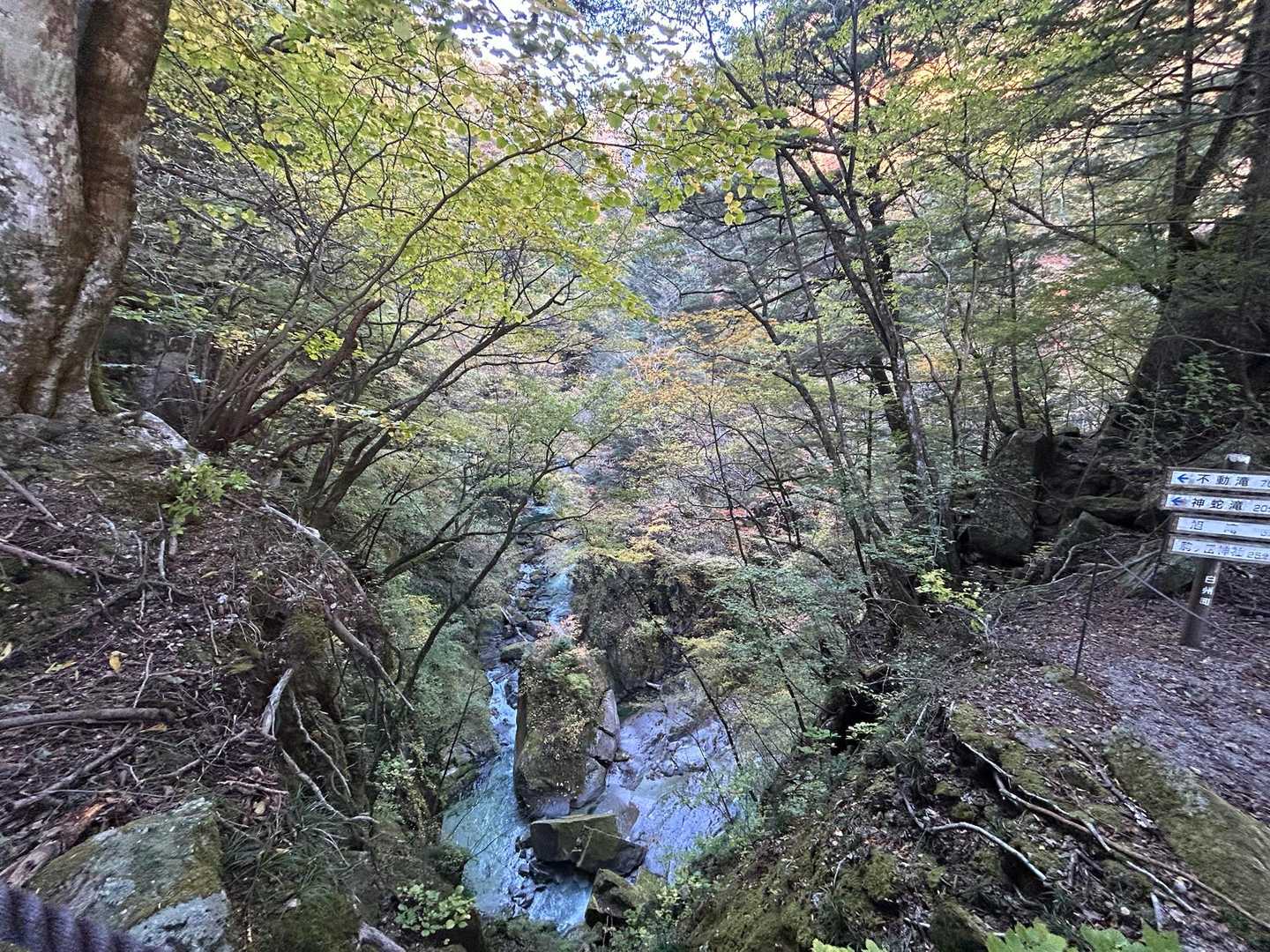 渓谷沿いの急登を登っていく　尾白川の急流が美しい