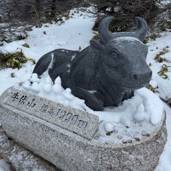 これが山頂にあったほういくない？