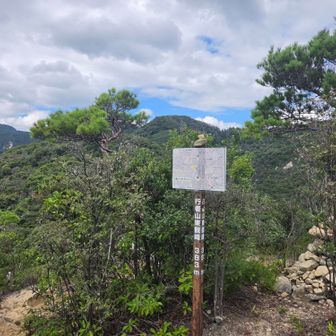 行者山東観峰山頂