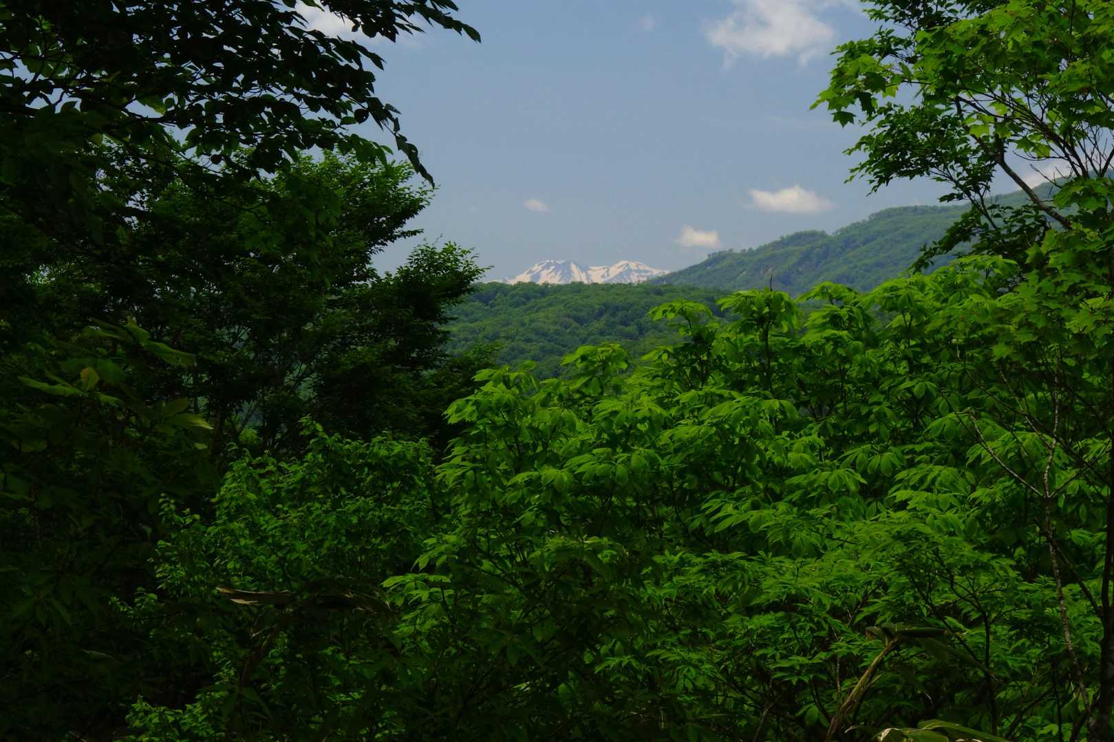白山がちょびっとだけ見えた