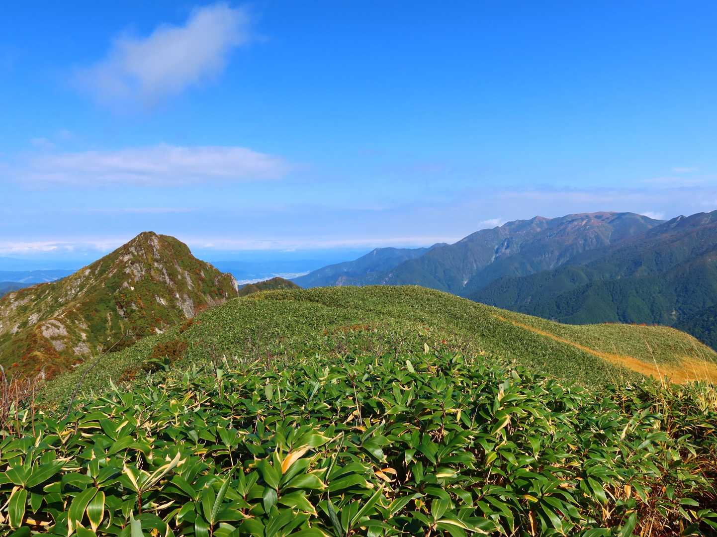 振り返って笹と大源太山