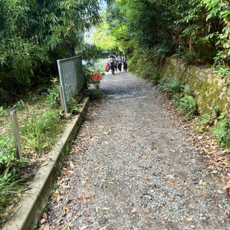 ついに登山口に帰還。往復2時間ぐらいでした。下りはスムーズに進むことができました。次は比叡山に行きたいな。