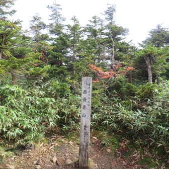 西吾妻山の山頂
（山頂は景色無し……）