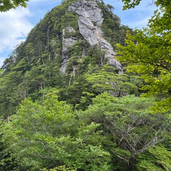 大日岳の修行者用登り。
岩部に鎖が垂れているのが見えた。
どうやって登るんじゃ。