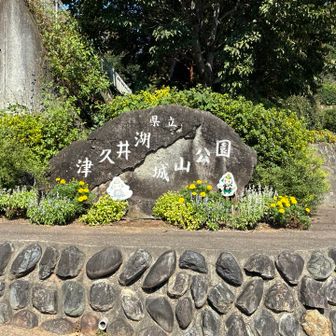津久井湖城山公園に到着