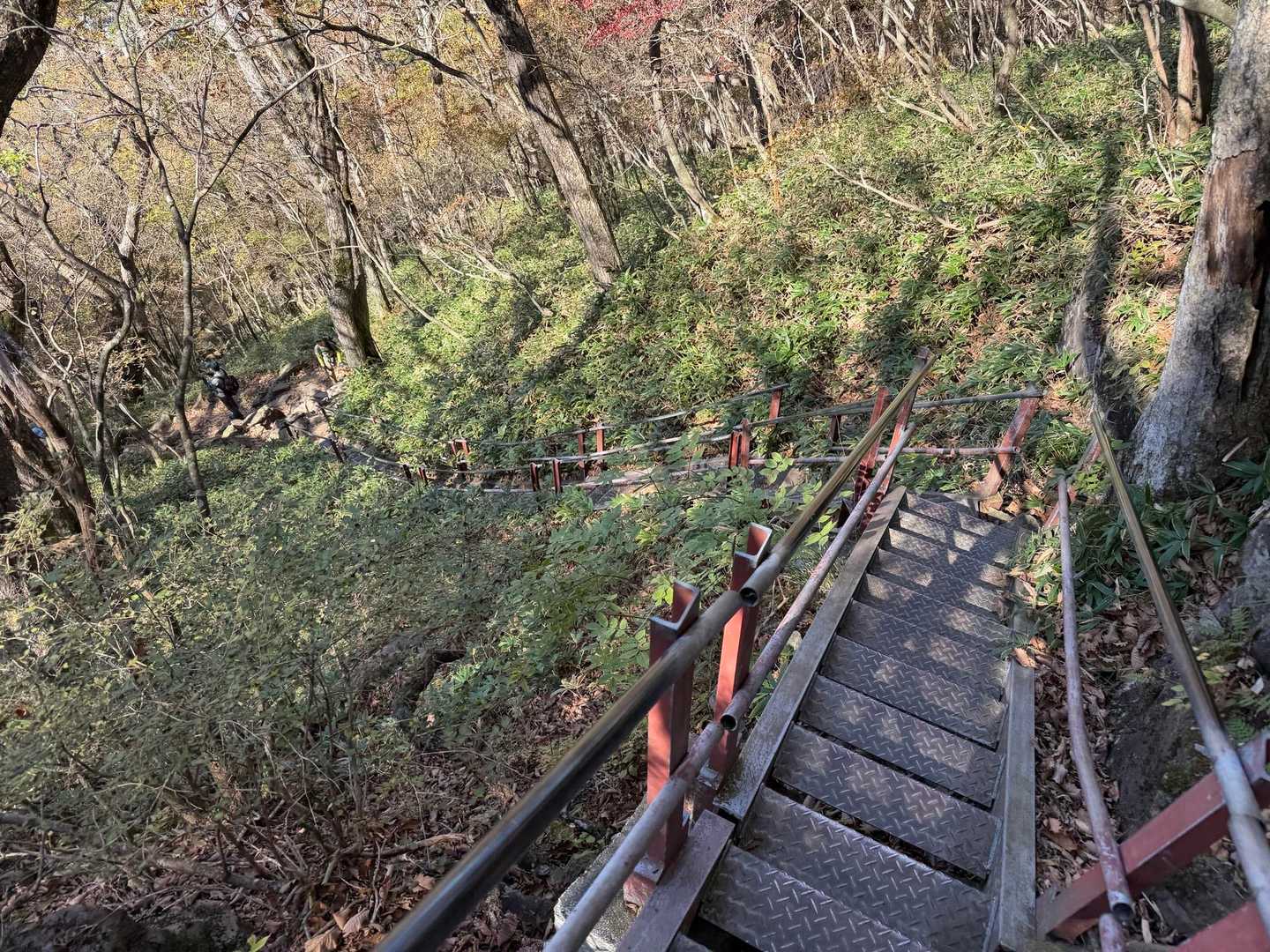 狭いので譲り合いながら🤗