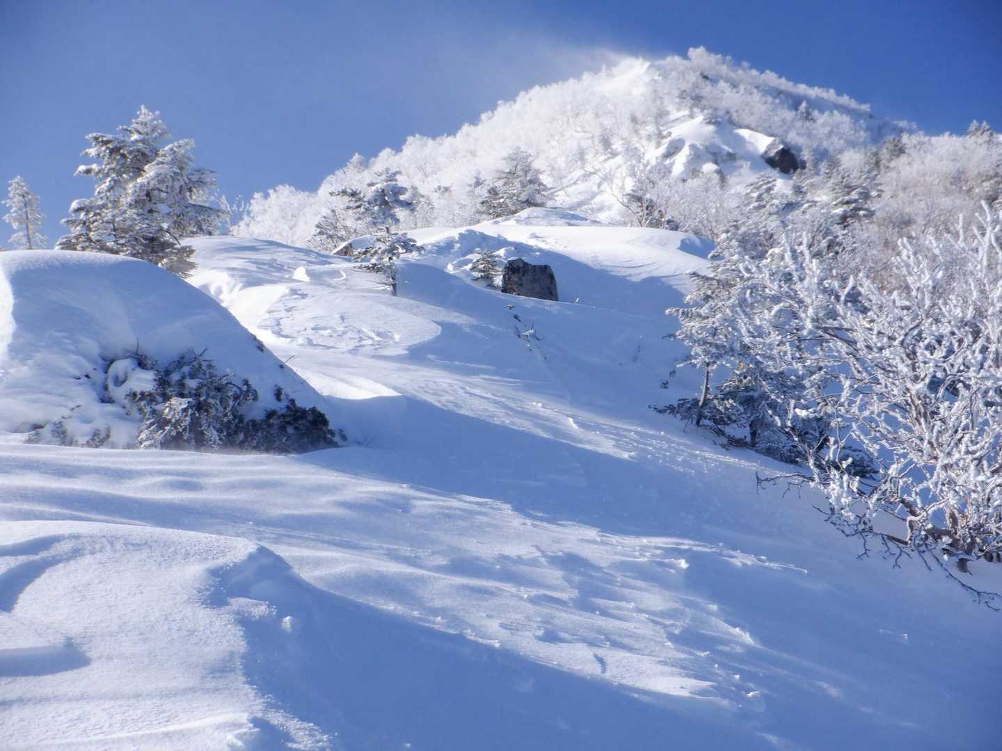 どこ歩いてもうまる❄️
リセットされた雪面✨