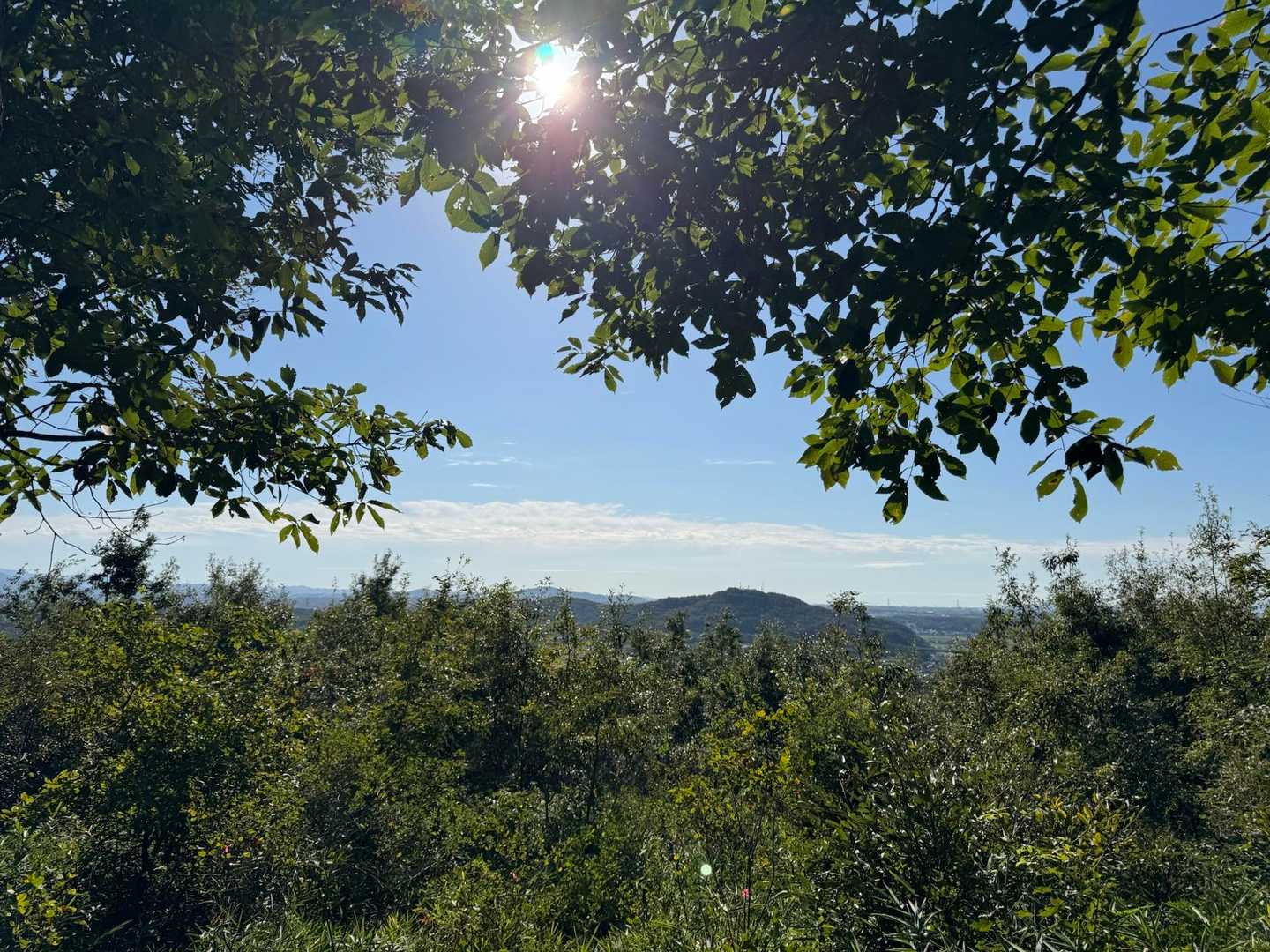 良いお天気☀️