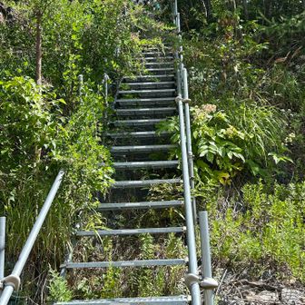 階段でうっそうとした山頂へ向かう