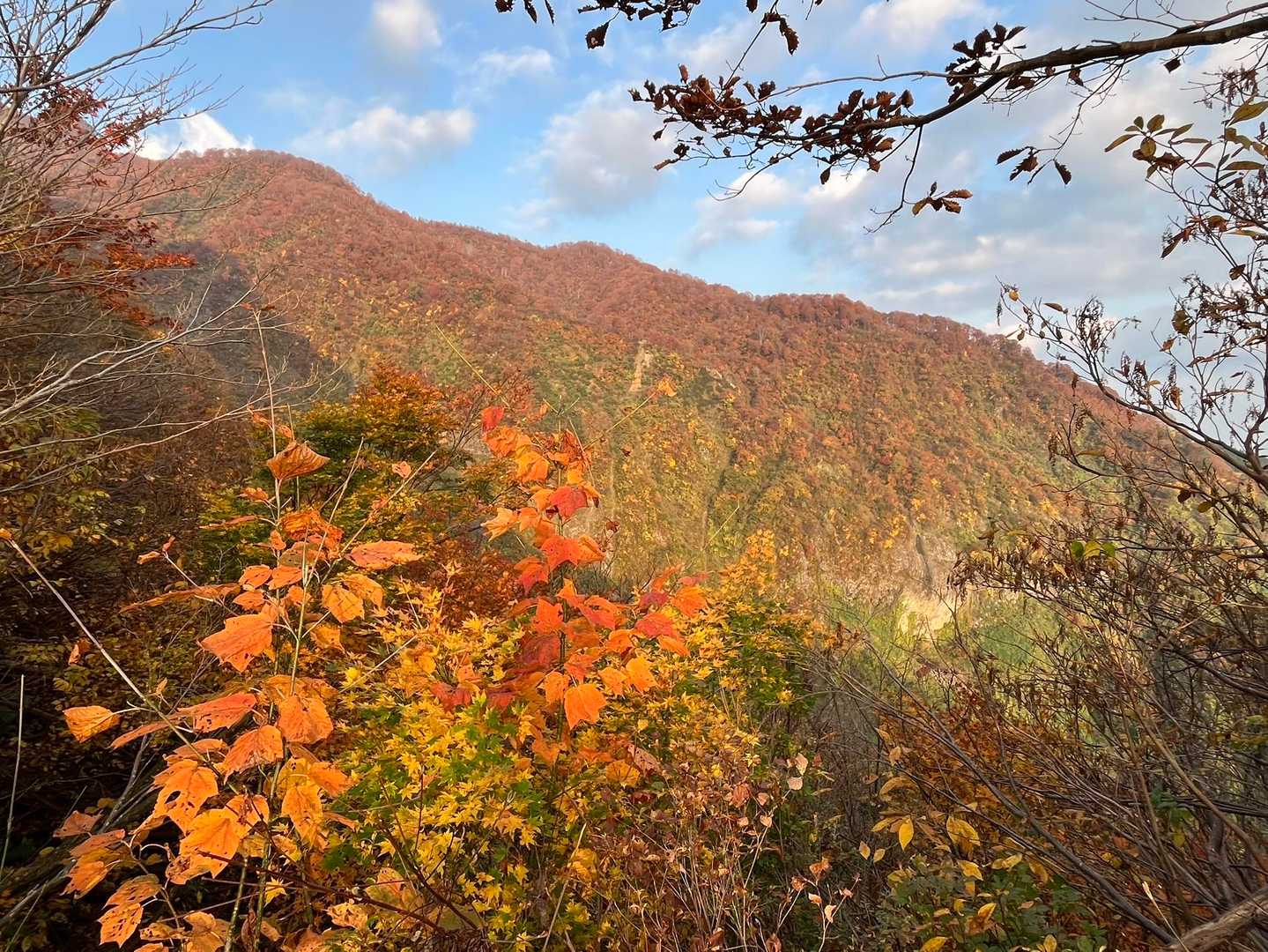 柵口登山口の写真