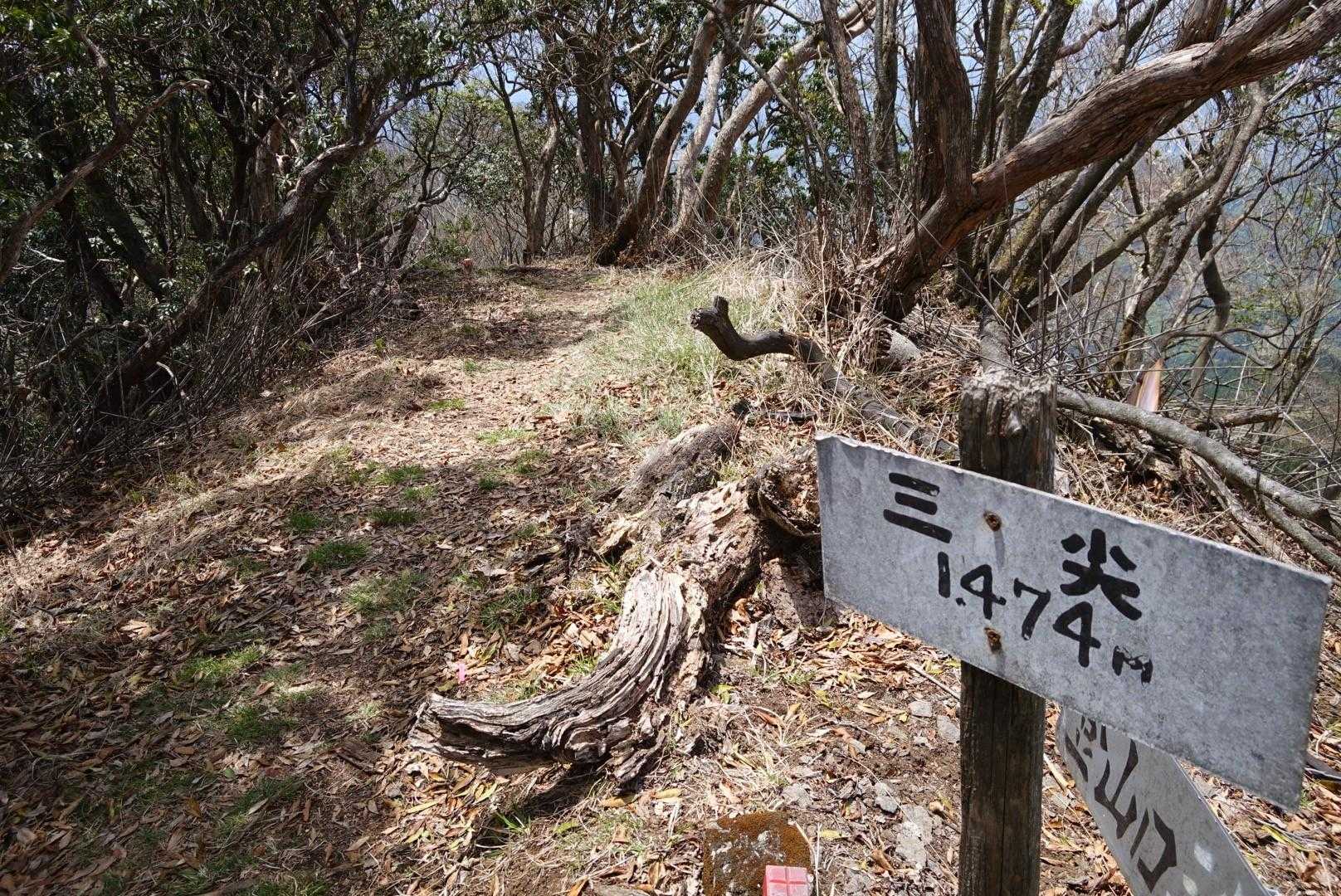 帰ろ