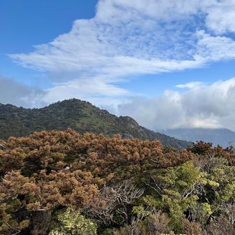 ずっと眺めていたいです
