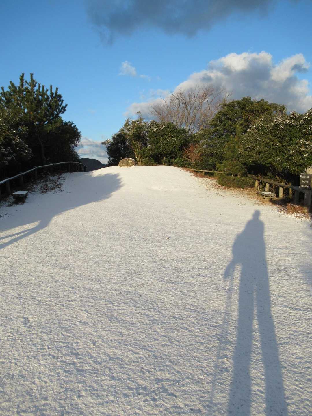 旅伏山 往復コースの写真