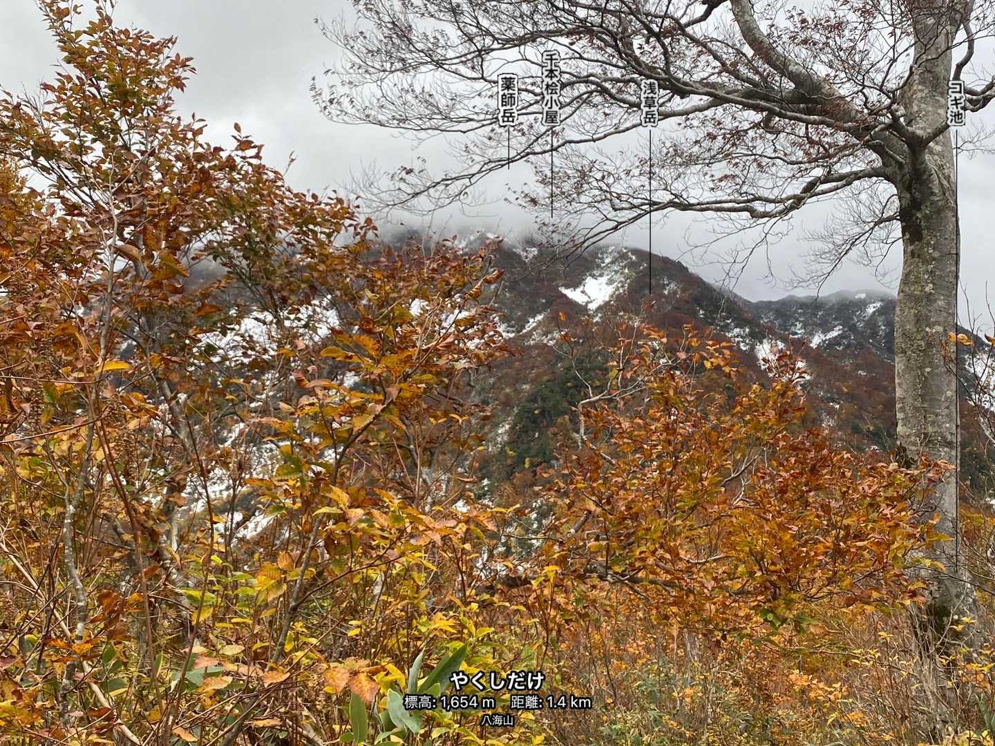 少し見えてきたけど、山頂はガスで見えない。