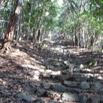 急登の階段で行きました