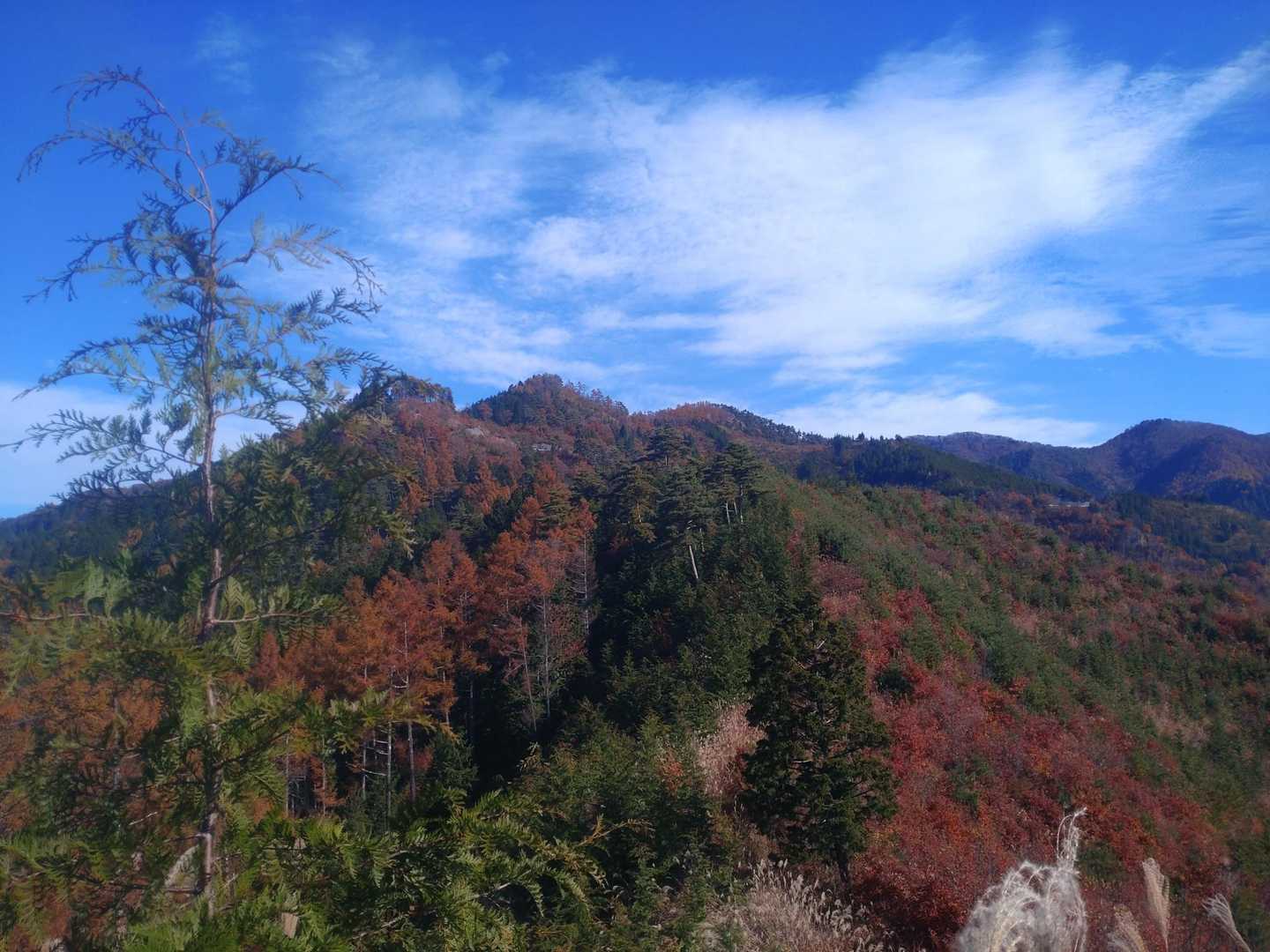 次のピークへ
振り向くと棚横手山