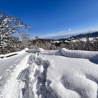 ホイップクリーム🧁😍