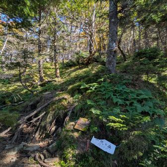 「仏生嶽」の登山口を通過…帰りに、余裕があれば登りましょう🤠