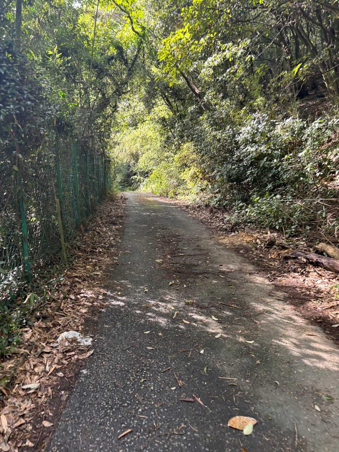 日和田山登山口-日和田山-物見山-高岩 周回コースの写真