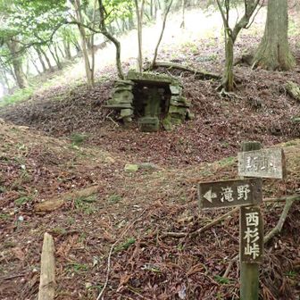西杉峠（さいすぎとうげ）まで降り切りました
ここまで長い長い
峠には役行者像が祀られています