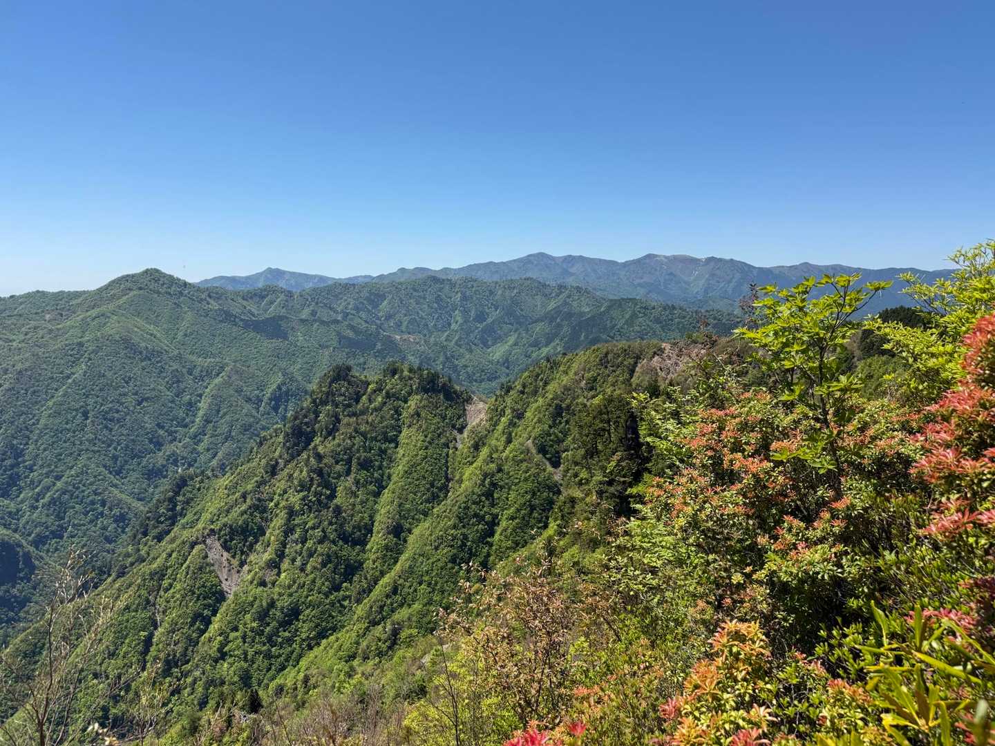 【カバー写真】

ウグイ谷ノ頭（左端中景の三角の山）と大台ヶ原（中央右遠景）
何と立体感のある奥深い山岳風景かと感動しました🥺
キュン💓です😁