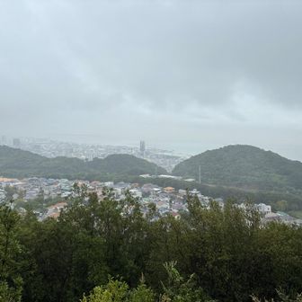 やはり眺望は効かず。