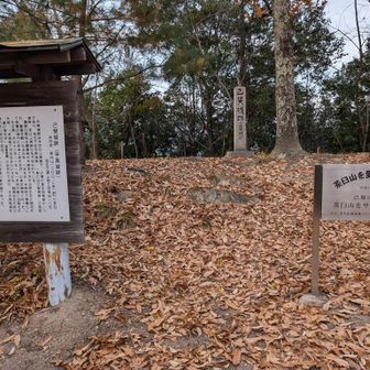 茶臼山山頂です。（山頂の様子は）約60年前に亡き母と登った時とは違っていました。当時は案内表示もなかったです。（昔は小茶臼山と言っていました。）